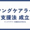 ヤングケアラー支援法成立